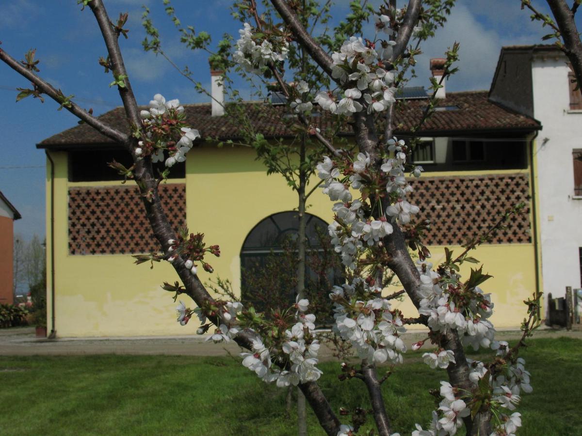Roverbella B&B Corte Cornalino المظهر الخارجي الصورة
